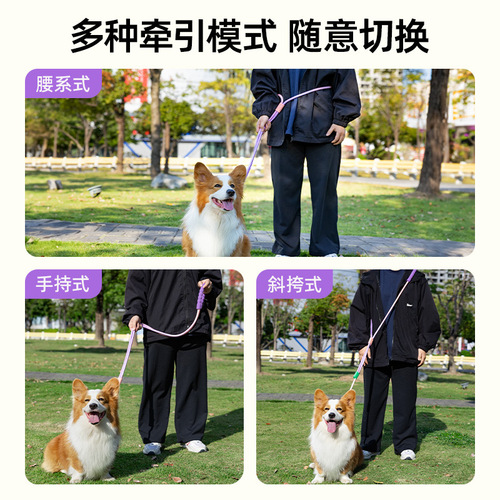 Dog Leash Anti-Explosion Shock Cord for Small Dogs Anti-Trip Chain Large Dog Harness Collar Walking Accessories