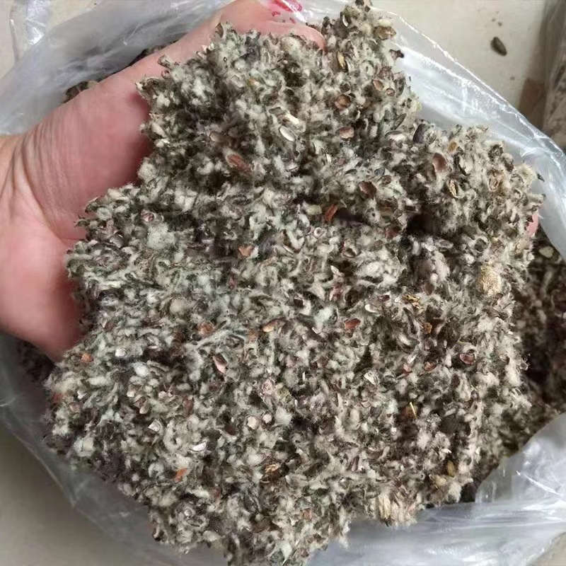 棉籽壳
