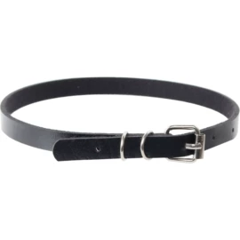 项圈;腰带;腰链