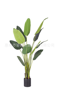 ˽ ˽ WLind Gֲ 辰 ֲ