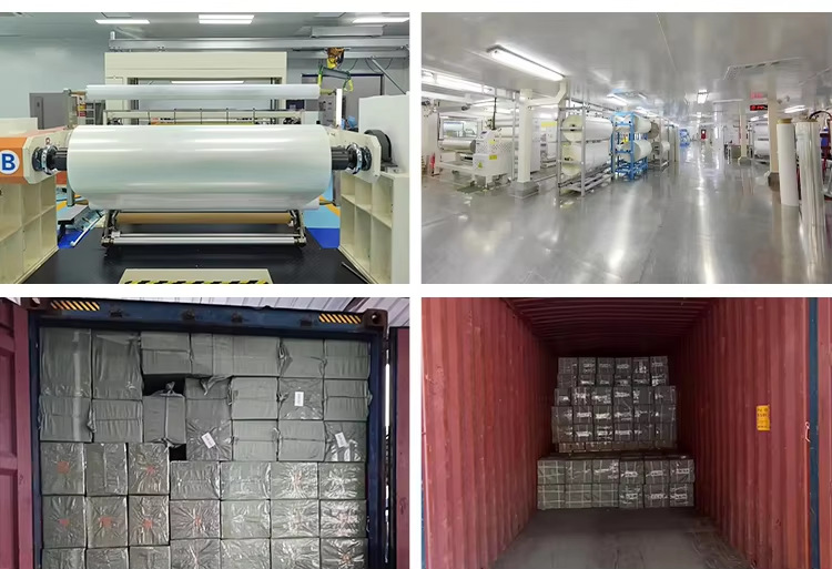 微信图片_20250612125659