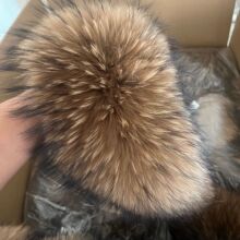 Դ�^�S�Ҷ��ƺ�����ëë�I���I�T�����֧�ց�Ӷ���