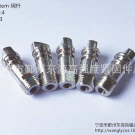 定制阀杆  DHLS1小阀门 直径9mm长度23mm  小阀杆 valve stem