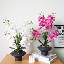 �p���_�I���w�Y������m�մ����Է��滨�[���͏d�����bҾӔ[�O