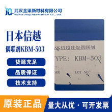 �ձ���ԽShinEtsu ż��KBM 503 ճ�Y������춉T�Ͻ���������ī