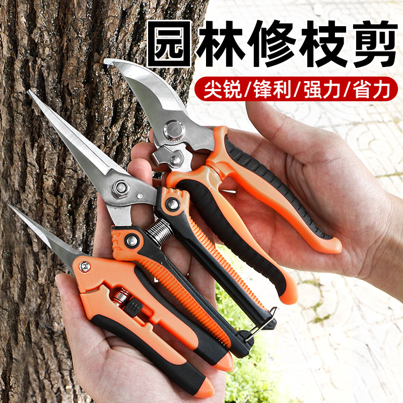 Household Pruning Shears Special Shears for Fruit Trees Flowers Garden Shears Stainless Steel Shears Branch Greening Grafting Garden Scissors 2