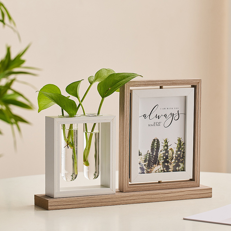 Creative hydroponic plant photo frame decoration entrance living room TV cabinet study desktop decoration decoration free shipping