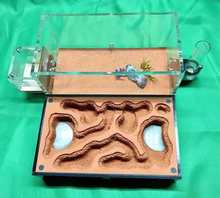 飘落的雪 蚂蚁城堡M  双水塔  工坊蚂蚁农场蚂蚁帝国生日礼物