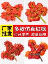�t���~��֦�t���~�٘��~�Ӽt���Gֲ�b��~�������Ϙ��~