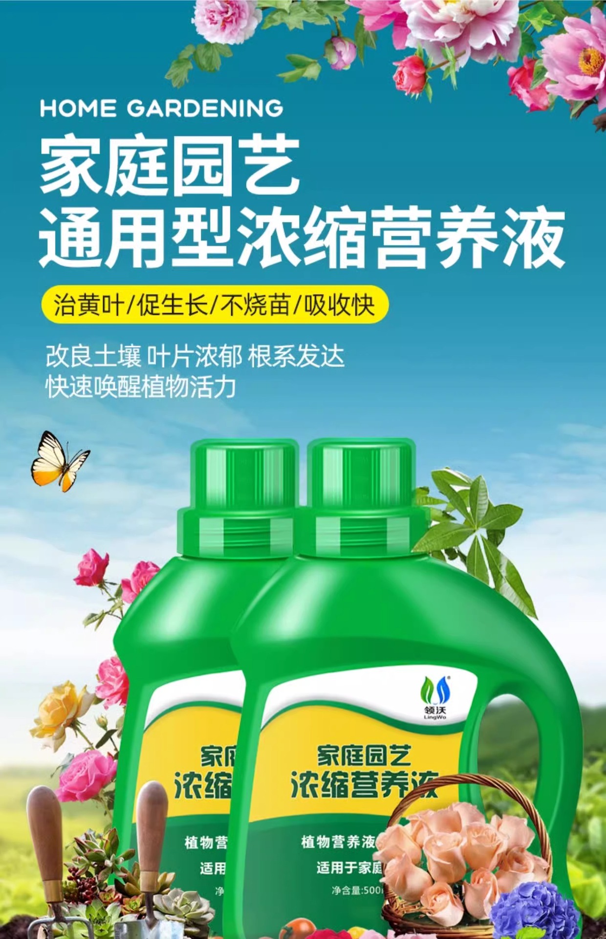 详情图