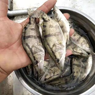 ��ˮ���~�N����~���Z���~����~���r���F�~������·�����~��