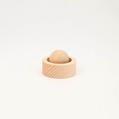 (Bross-Border Dropshipping) Fragrant Wood Aromatherapy Perfplant seat