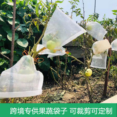 果物防鳥防虫網袋瓜果保護袋無花果ビワブドウ網袋桃いちご保護カバー