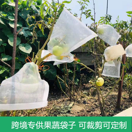 果物防鳥防虫網袋瓜果保護袋無花果ビワブドウ網袋桃いちご保護カバー|undefined