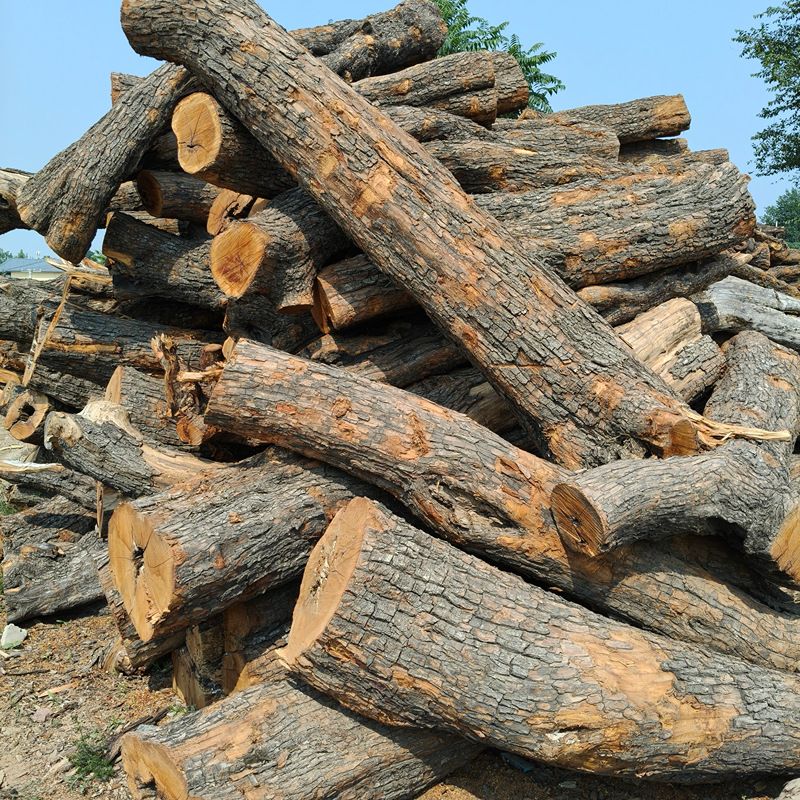 微信图片_20250529094910