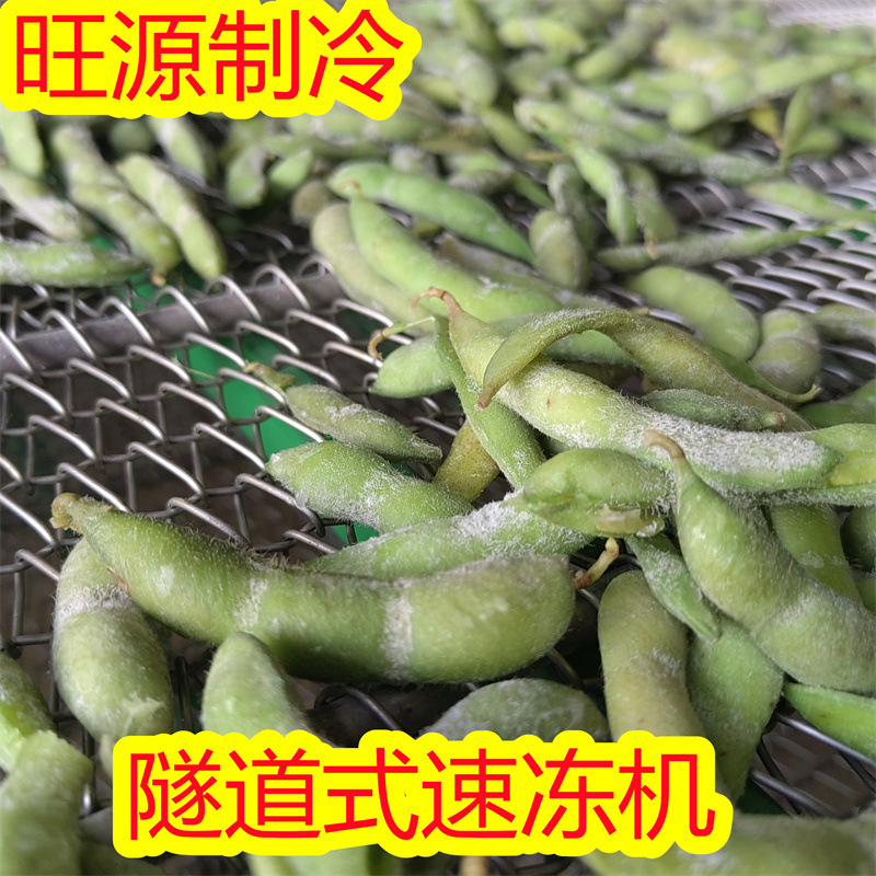 旺源饺子速冻机 海参冷冻生产线 龙虾速冻冷冻设备免费设计方案