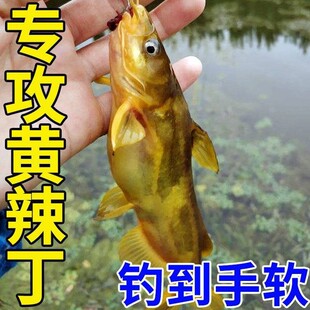 �S���������D���S�f�~�DҰ�ͨ���a�~���~�ﶬ������~�D��