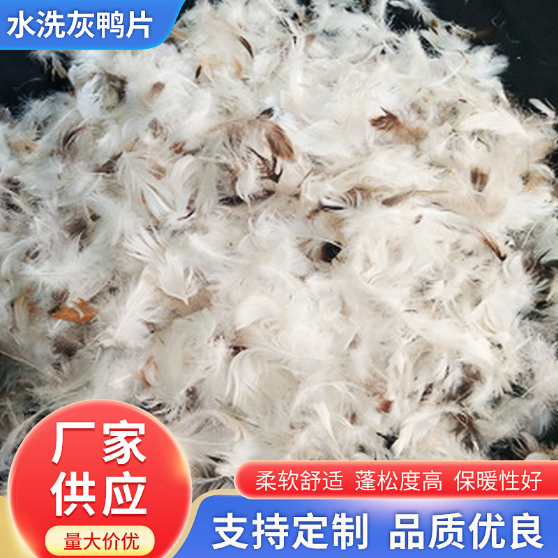 定制水洗鸭毛 水洗灰鸭片 灰鸭小毛片水洗灰鸭片 床垫 抱枕填充物