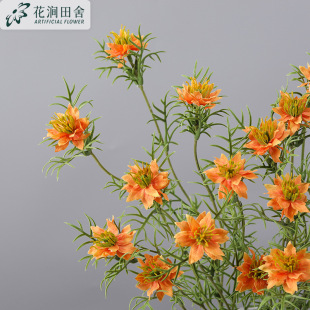 ���滨 �z֦�ڷN�� ���W��ɣ���Ҿ�ܛ�b��̻�c�[���ٻ�Ұ�ջ�