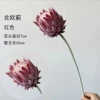 Nordic Thistle - Red