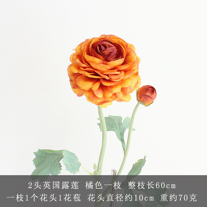 오렌지