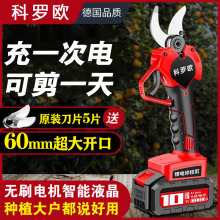 ���M��늄���֦�������֦�������ʽ�����o���늈@ˇ��֦늼�