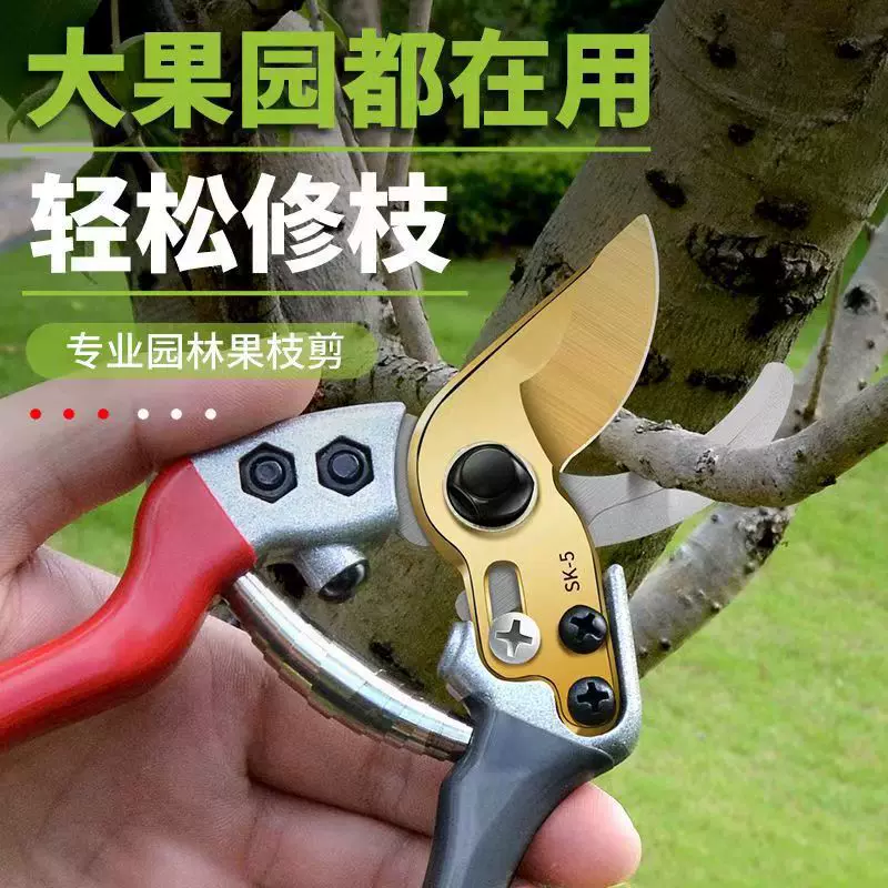 代发sk5树枝修剪粗枝果枝剪树枝修剪刀花艺工具家用园林果树剪刀