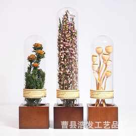 跨境木质干花收纳架试管玻璃植物标本收藏展示架永生花干花架底座