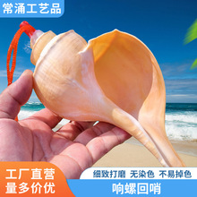 ��������ݿڴ�����L����ؐ���Ҿߔ[������̖���~��ˮ���쾰ؐ��