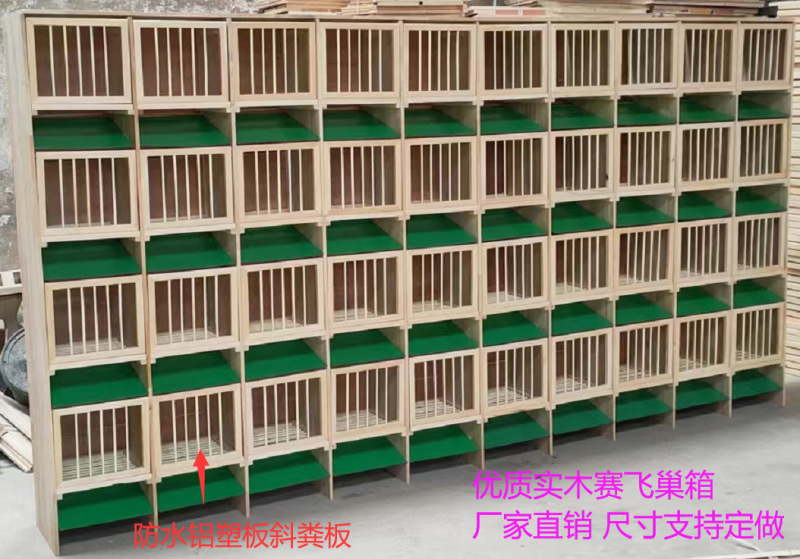 信鸽巢箱巢箱鸽具鸽笼鸽子赛鸽赛飞实木巢箱公棚组合