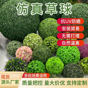 ���⾮�w�����ړ��b�Ʒ�ڳ�Gֲ���������m�����w�Ƶ��b����l