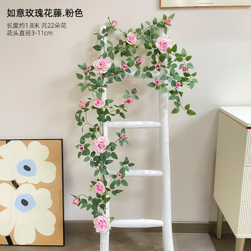 핑크 장미 꽃 포도 나무 1.8 미터