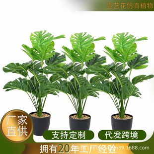 ���W������F�z�m�����������҃��♻����ؾGֲ�[��ֲ���쾰�侰