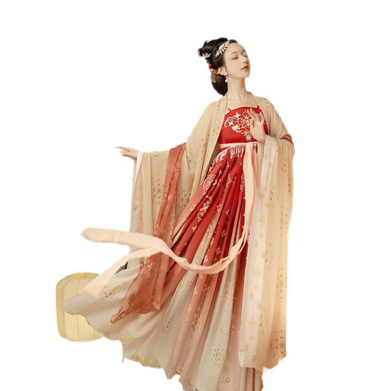 Tang-made Adult Hanfu Women's Suit Tang-made Restatement Figure Women's Summer Embroidered Chebula Skirt Daily suit