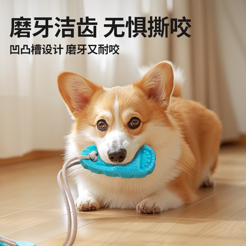 犬のおもちゃの吸盤スリッパは歯ぎしりに耐えます。|undefined