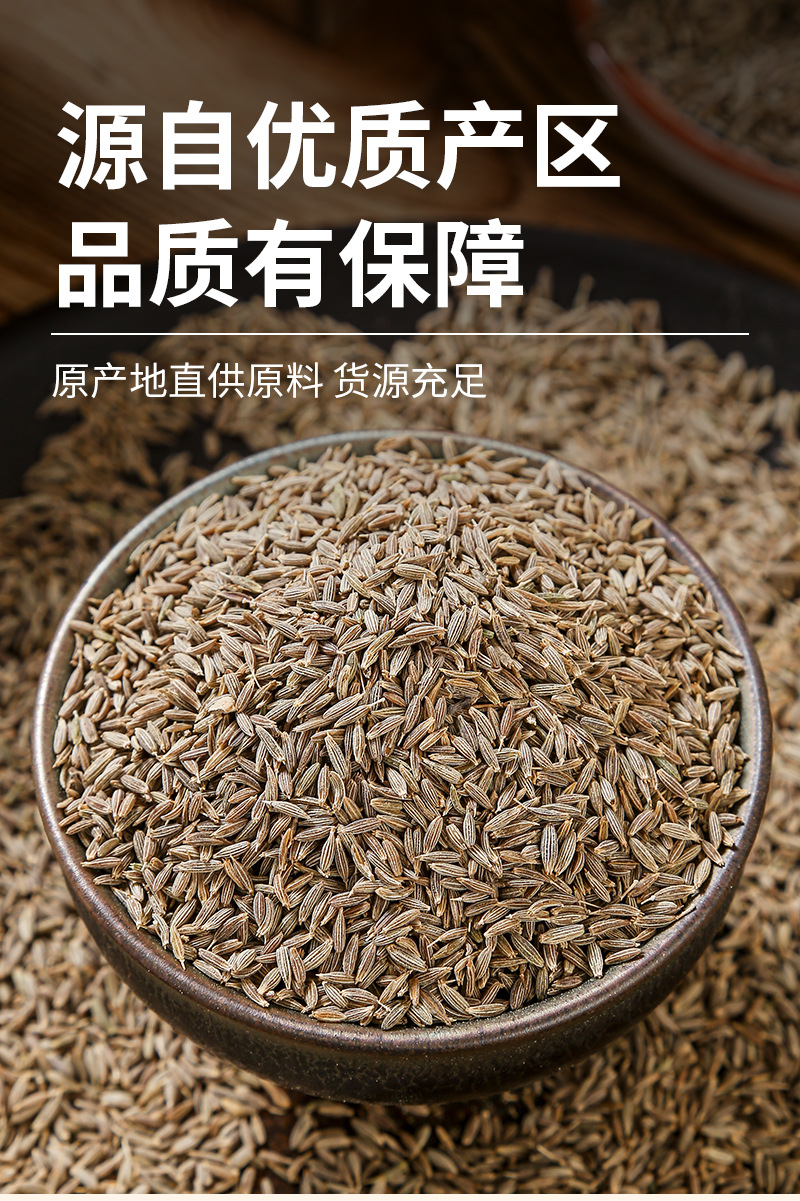 Cumin Seeds (Cuminum cyminum) — Dried Whole Spice for BBQ & Culinary Blends specifications