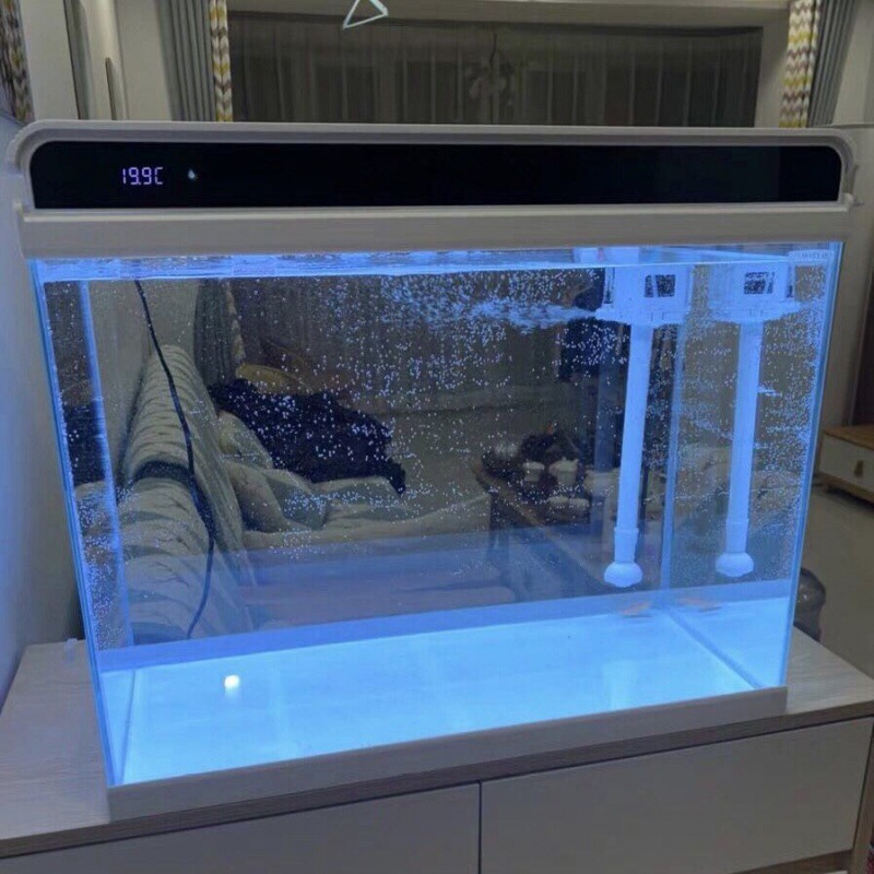 Fish Tank Office of the Homeland Ecological Aquarium Land in the High White Glass Display Water Exchange Amazon Factory