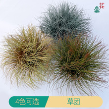 ����݈F�Gֲ��ٲ�ƺ�JȔ�ݶ�ˮ�ݶѾ��^���Ϲ����b��쾰����ˇ