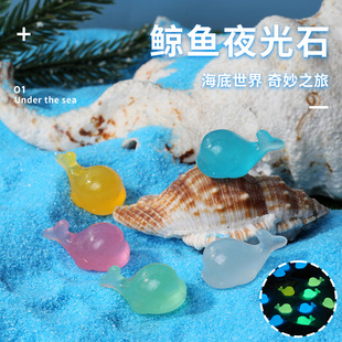 Factory direct supply Amazon explosion micro landscape whale luminous stone new strange small ornaments creative stone