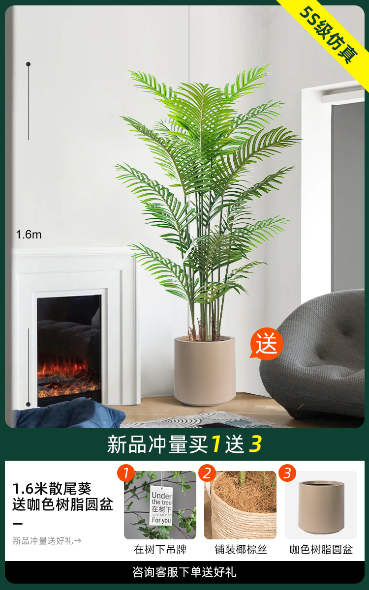 1.6 미터 느슨한 말미잘 [카레 수지 둥근 분지 보내기]]