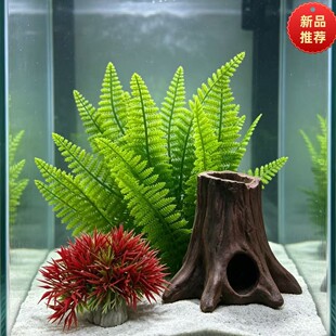 �S��ֱ�N�~��ɳ�P�b����Ϸ���ˮ��ǰ���^�pֲ��ٻ�ˮ�����쾰