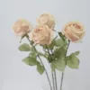 Champagne color
