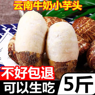 ���ţ�̽�ë���^���r�߲�С����������ܵ�r���ԷN�tѿ