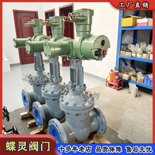 Z941H-25C DN250Vø늄ly ZB30-24úͨ_P