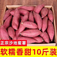蜜超甜农科院批发番薯糖心产地流油红薯新鲜地瓜直发沙地蜜薯