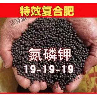ʷ�����ͺϷʻ��ʻ��ʵ���⛾Gֲ���仨�ܠI�B����������ͨ