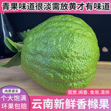 �㙴ˮ��ֲ����ָ������҃��幩�Y�Gֲ�������幩�^�pˮ�����l