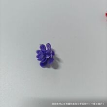 ����ֲ��2���׷���С�軨ֲ��������ϲ���ˮ�ݷ���ֲ��