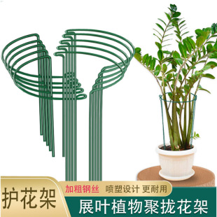 �¼����ټ�ֲ�ﻨ֧�ܰ�A�����o�~���Fˇ����зצ�m������֧�μ�