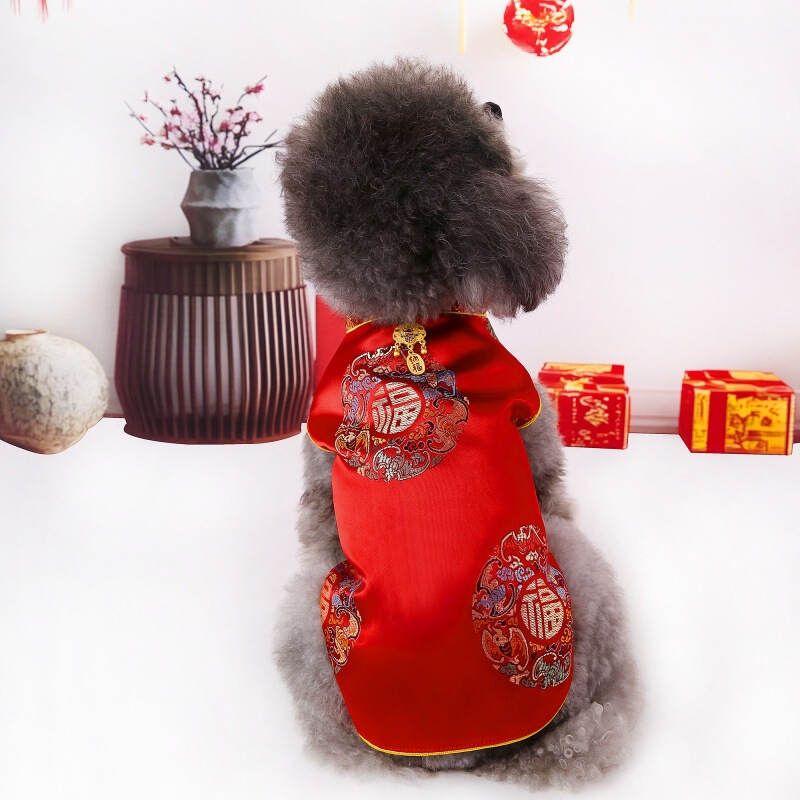 Dog Tang Suit for New Year, Spring & Fall Pet Clothes, Chinese Han Dynasty, Bichon Teddy, Small Size Dogs, Chinese Style Wedding Dress
